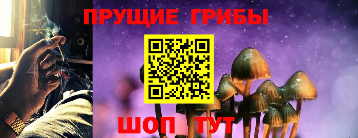 Галлюциногенные грибы прущие грибы Октябрьский